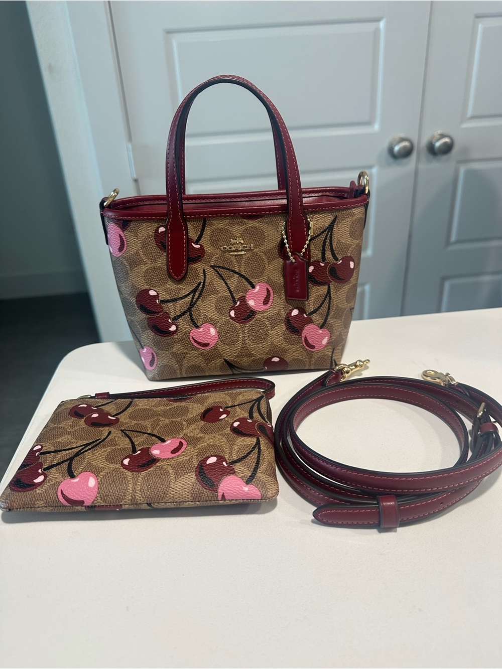 Coach City Mini Tote Bag In Signature Canvas With Cherry Print and